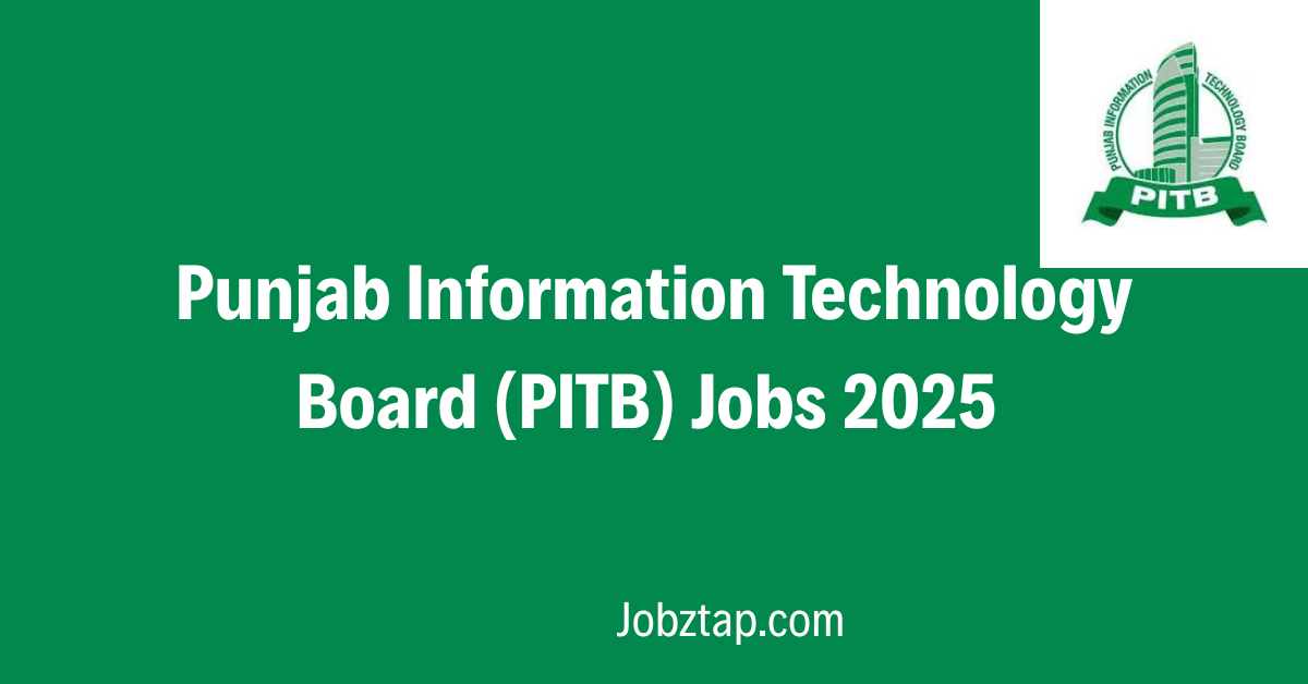 Punjab Information Technology Board Jobs 2025
